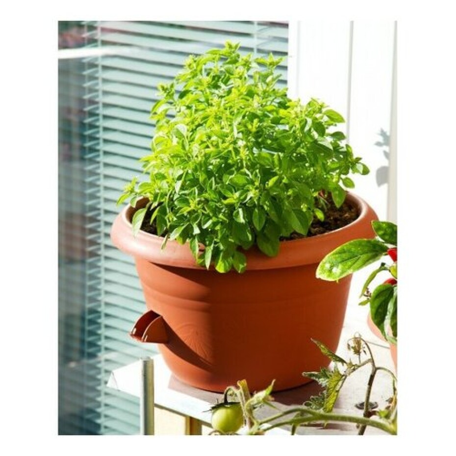 Samozavlažovací žardina Siesta, oranžová, Plastia, 25 cm - main (1)