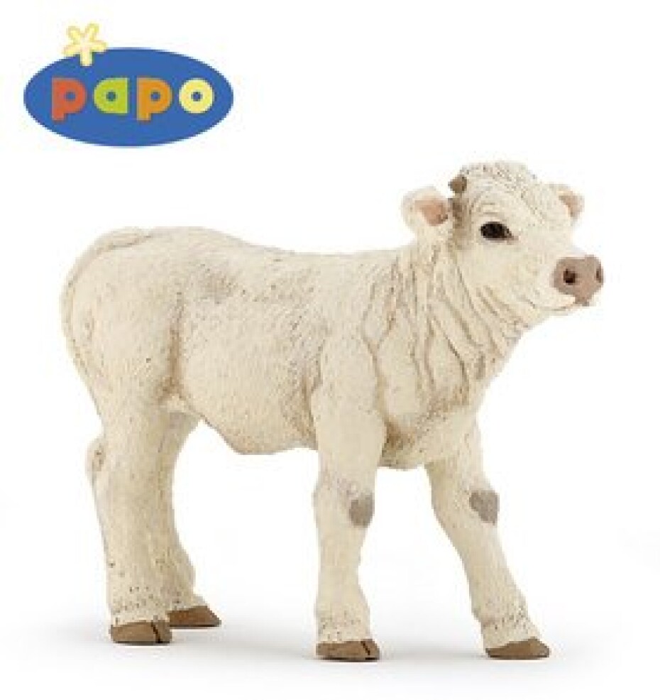 Telátko Charolais - main (0)