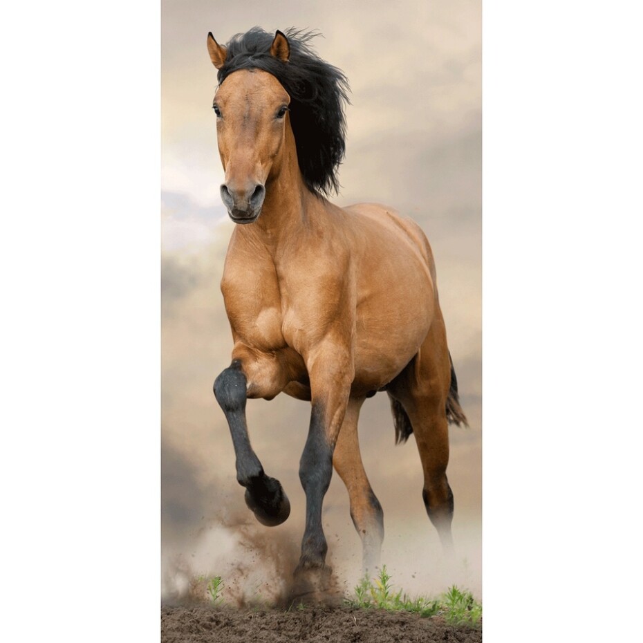 Jerry Fabrics Osuška Horse brown, 70 x 140 cm - main (0)