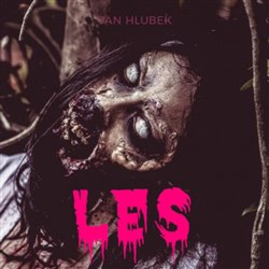 Les - Jan Hlubek - main (0)
