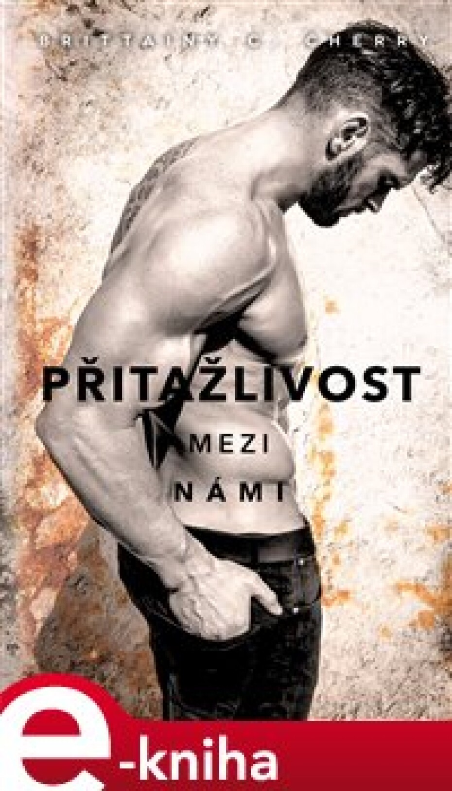 Přitažlivost mezi námi - Brittainy C. Cherry - main (0)
