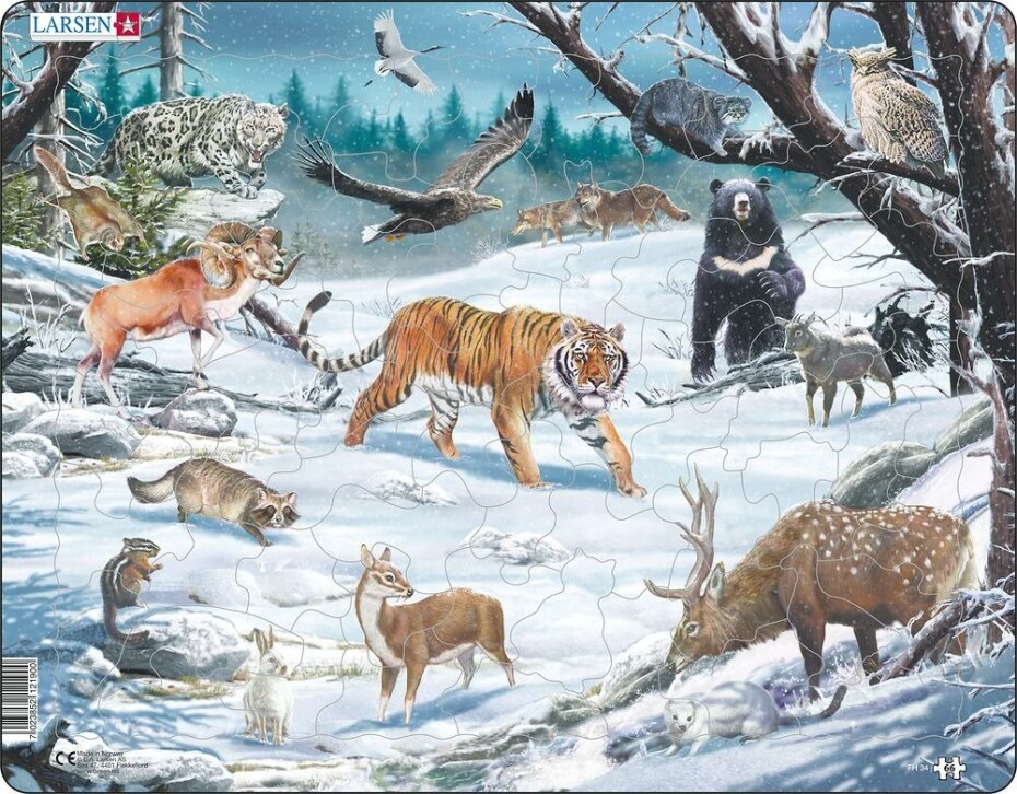 Puzzle MAXI - Sibiř a krajina Severovýchodní Asie/66 dílků - Kiddo - main (0)