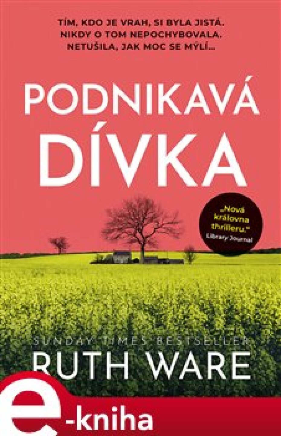 Podnikavá dívka - Ruth Ware - main (0)