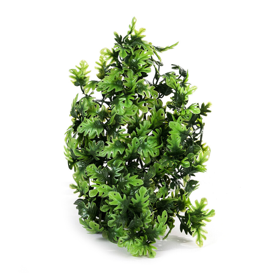 Umělé Philo, 40 cm,  HTH - main (0)