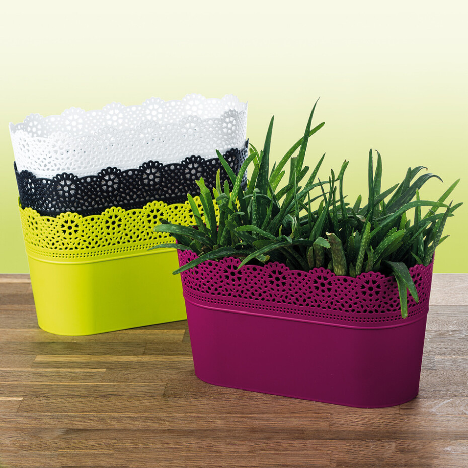 PROSPERPLAST LACE truhlík s krajkou 28,5 x 13,5 cm, bílá DLAC285 - main (1)