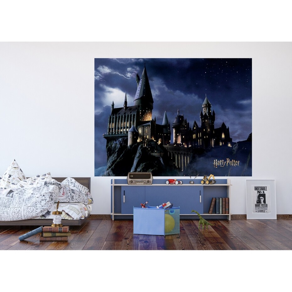 Dětská fototapeta Harry Potter 252 x 182 cm, 4 díly - main (1)