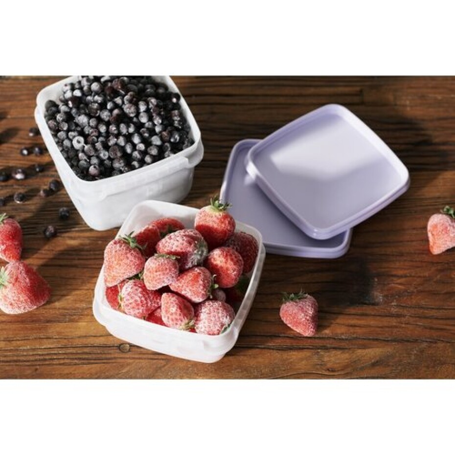 SmartStore Sada plastových dóz Freezer 5 ks, levandule, 500 ml, 500 ml - main (2)