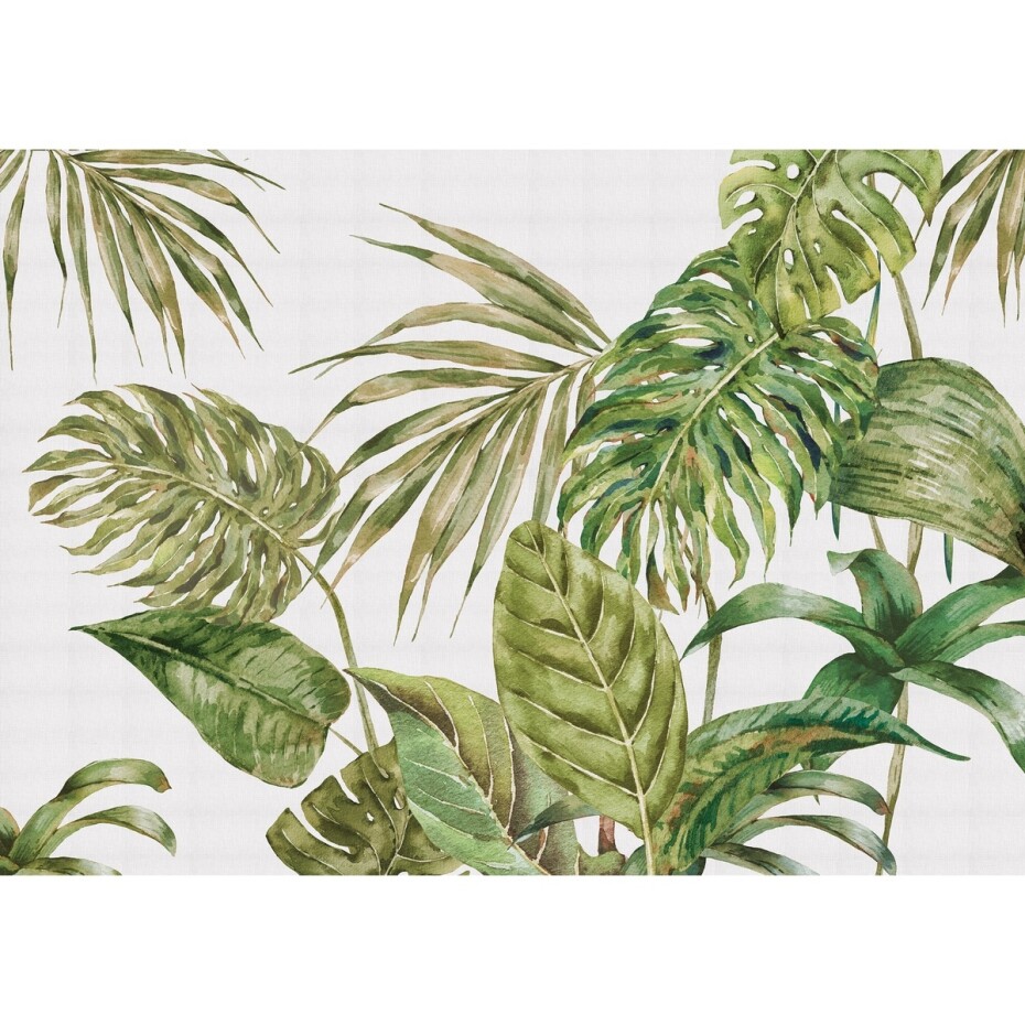 Fototapeta XXL Fern 360 x 254 cm, 4 díly - main (0)