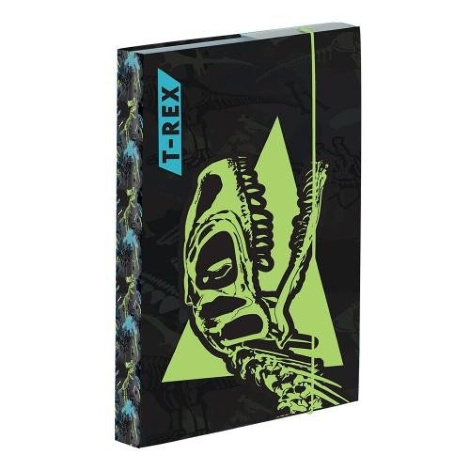 Box na sešity A4 - T-rex - main (0)