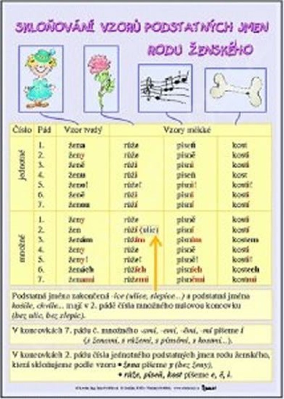 Skloňování vzorů podstatných jmen rodu ženského / Skloňování vzorů podstatných jmen rodu středního (karta) - main (0)