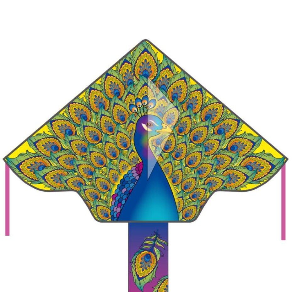 Invento drak Simple Flyer Peacock - main (0)