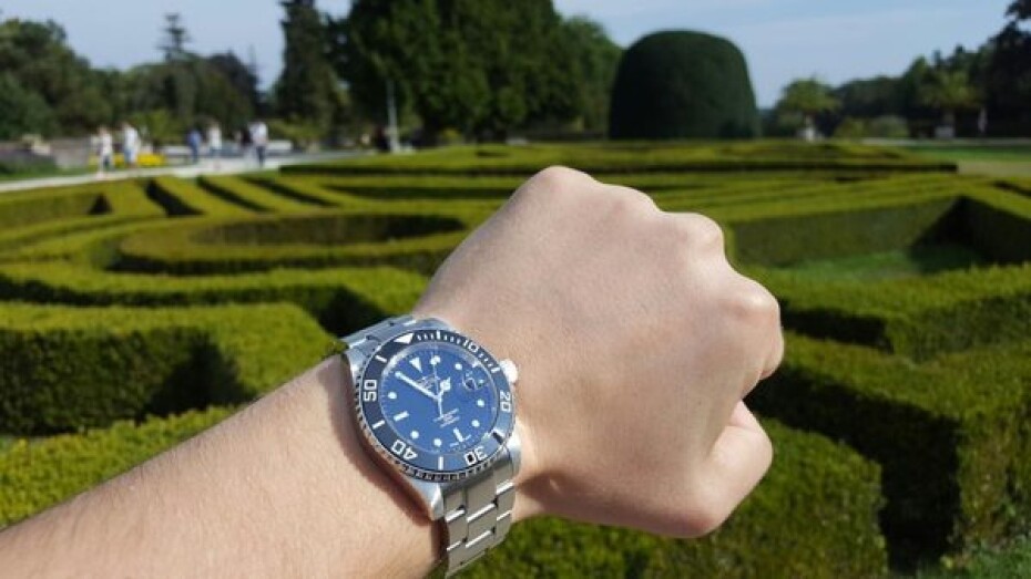 Davosa Ternos Automatic 161.555.50 - main (21)