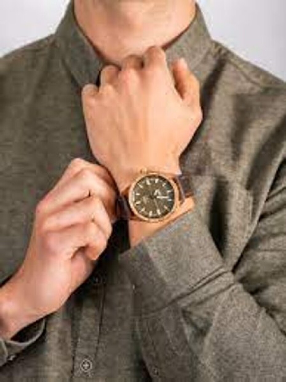 Vostok Europe Almaz Bronze Line NH35A/320O516 - main (4)