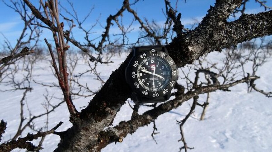 Luminox 3001.F - main (37)