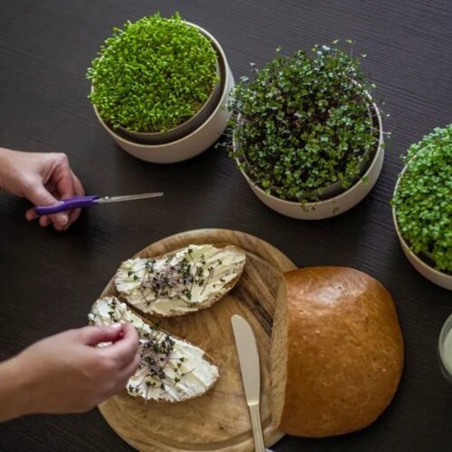 Plastia Microgreens, slonová kost - main (2)