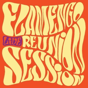 Product detail of Live - LP - Reunion Session Flamengo
