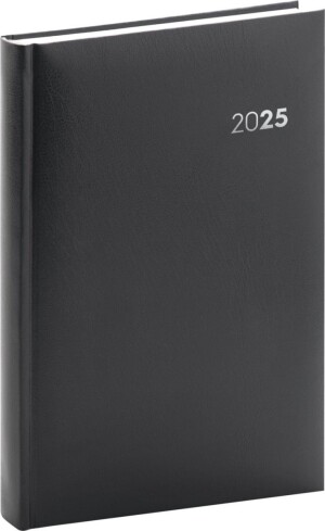 Product detail of Diář 2025: Balacron - černý, denní, 15 × 21 cm