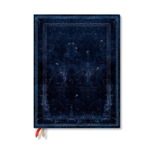 Product detail of 2025 FP 12 / Inkblot Bold / Ultra / Business Planner