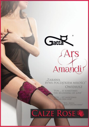 Product detail of Samodržící dámské punčochy CALZE ROSE - 20 DEN NERO-ROSSO 5-6