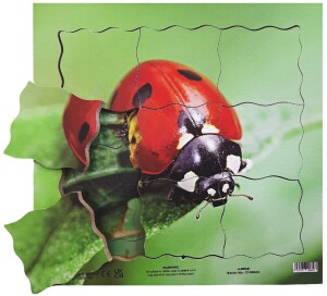 Product detail of Just Jigsaws 602 Beruška a její životní cyklus - dřevěné vrstvené puzzle 19 dílů