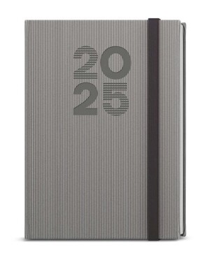 Product detail of Denní diář 2025 David Vigo A5 šedá