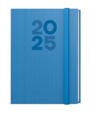 Product detail of Denní diář 2025 David Vigo A5 modrá