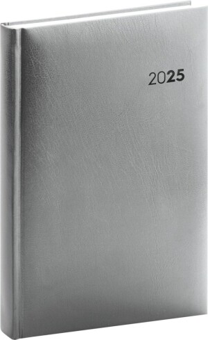 Product detail of Diář 2025: Balacron - stříbrný, denní, 13 × 18 cm