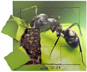 Product detail of Just Jigsaws 646 Mravenec a jeho životní cyklus - dřevěné vrstvené puzzle 19 dílů