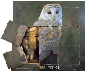 Product detail of Just Jigsaws 647 Sova a její životní cyklus - dřevěné vrstvené puzzle 19 dílů