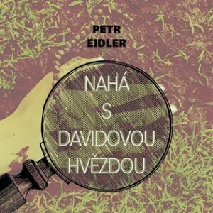 Product detail of Nahá s Davidovou hvězdou - CDmp3 (Čte Martin Preiss) - Petr Eidler