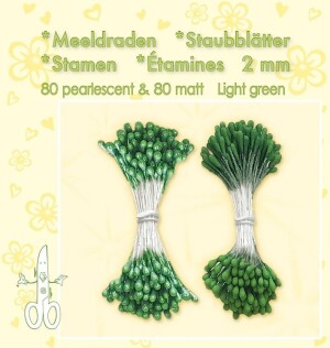 Product detail of LEANE Pestíky do kvítků - Světle zelená 160 ks