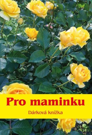 Product detail of Pro maminku - Dárková knížka