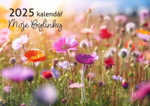 Product detail of Kalendář Moje Bylinky 2025 - Nástěnný měsíční kalendář