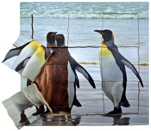 Product detail of Just Jigsaws 642 Tučňák a jeho životní cyklus - dřevěné vrstvené puzzle 19 dílů