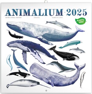 Product detail of Kalendář 2025 poznámkový: Animalium, 30 × 30 cm