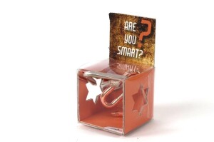 Product detail of Recenttoys Hlavolam - Are you Smart