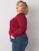 Mikina RV BL 6326.02X kaštanová 2XL - thumb (6)