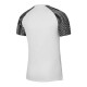 Pánské tréninkové tričko Dri-Fit Academy SS M DH8031-104 - Nike M (178 cm) - thumb (1)