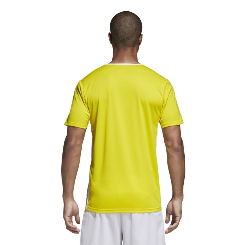 Entrada 18 unisex fotbalové tričko CD8390 - Adidas m - main (1)