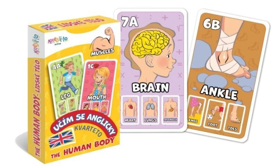 Kvarteto Učím se anglicky - The Human Body - Filip Škoda - main (0)