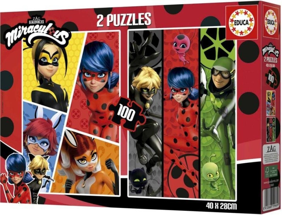 Puzzle Kouzelná Beruška a Černý kocour/2x100 dílků - main (0)