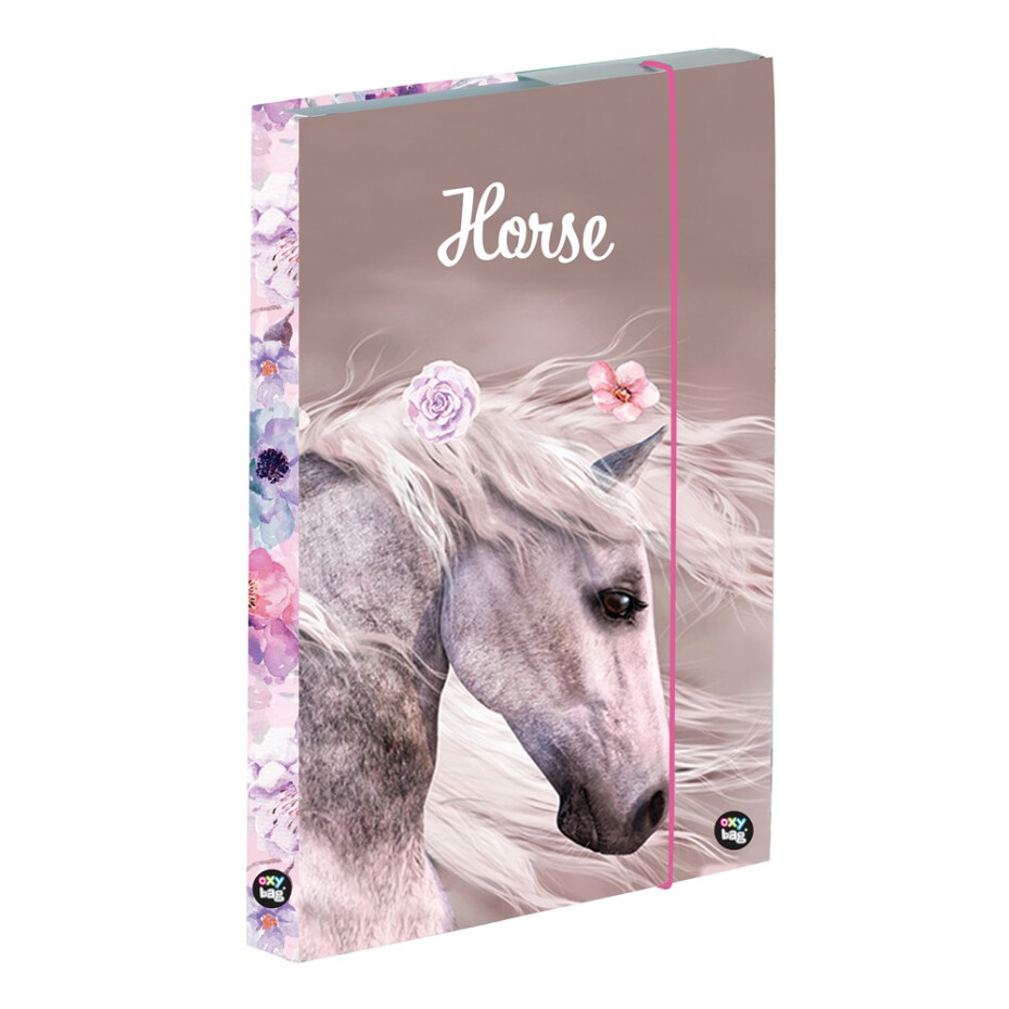 Box na sešity A5 Jumbo - Kůň romantic - main (0)