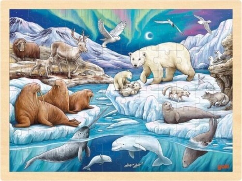 Dřevěné puzzle Polární noc 96 dílků - main (0)