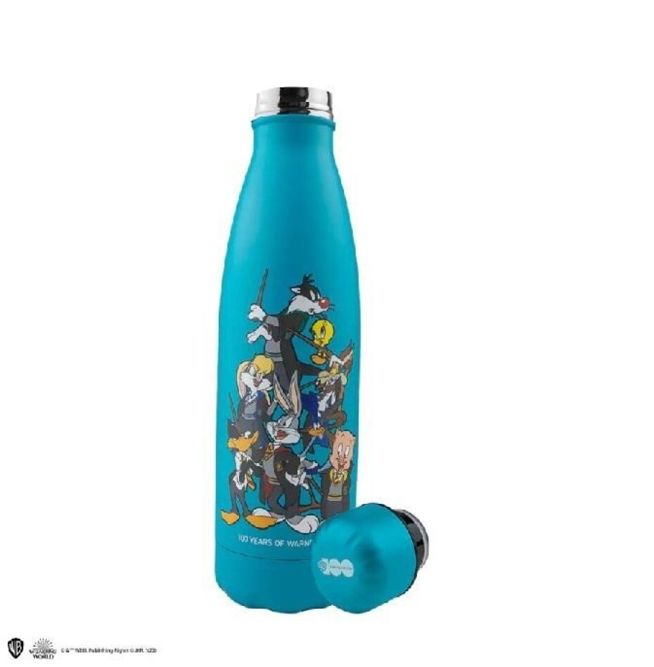 Looney Tunes Nerezová láhev na pití 500 ml - Looney Tunes at Hogwarts - main (0)