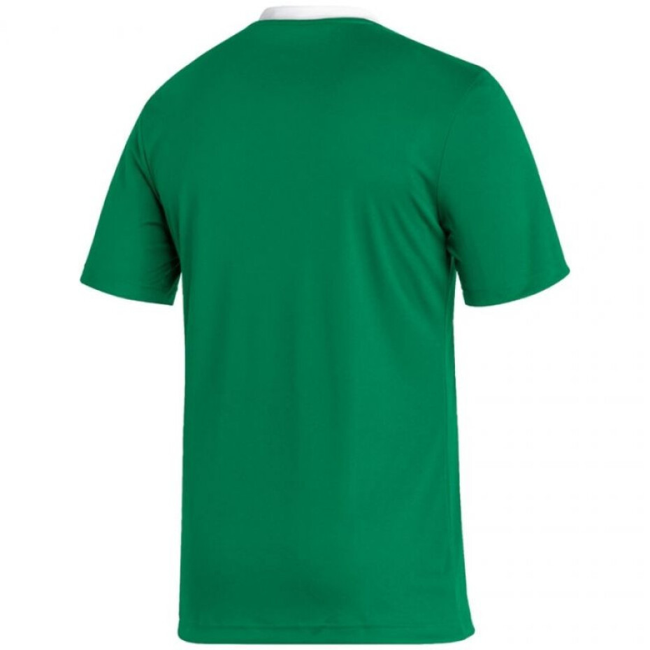 Pánské tričko Entrada 22 Jersey M HI2123 - Adidas S - main (1)