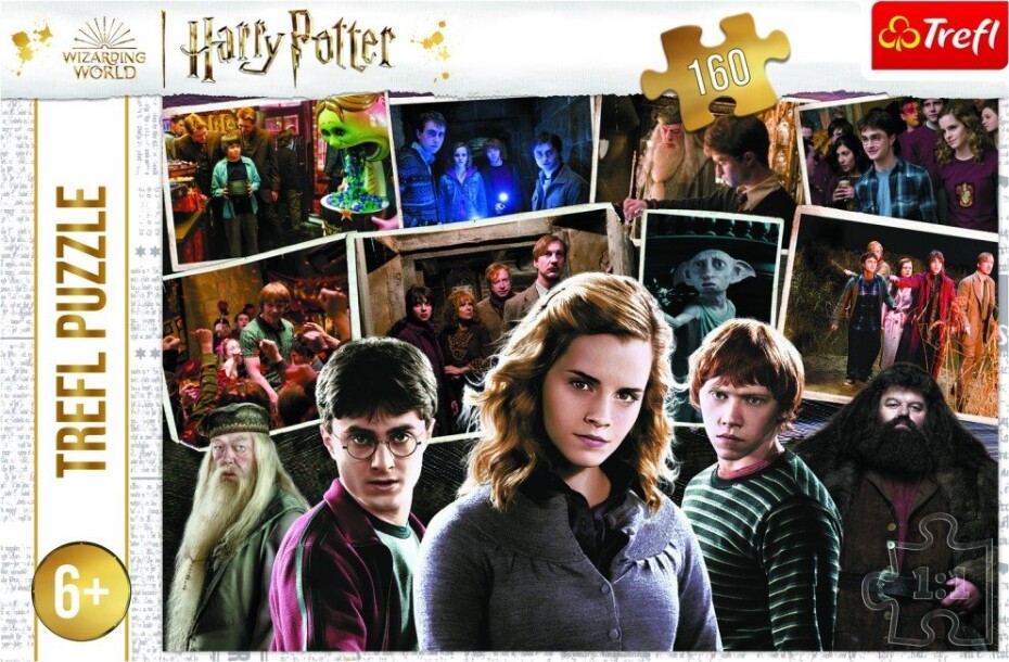 Trefl Puzzle Harry Potter s přáteli 160 dílků - Trefl - main (0)