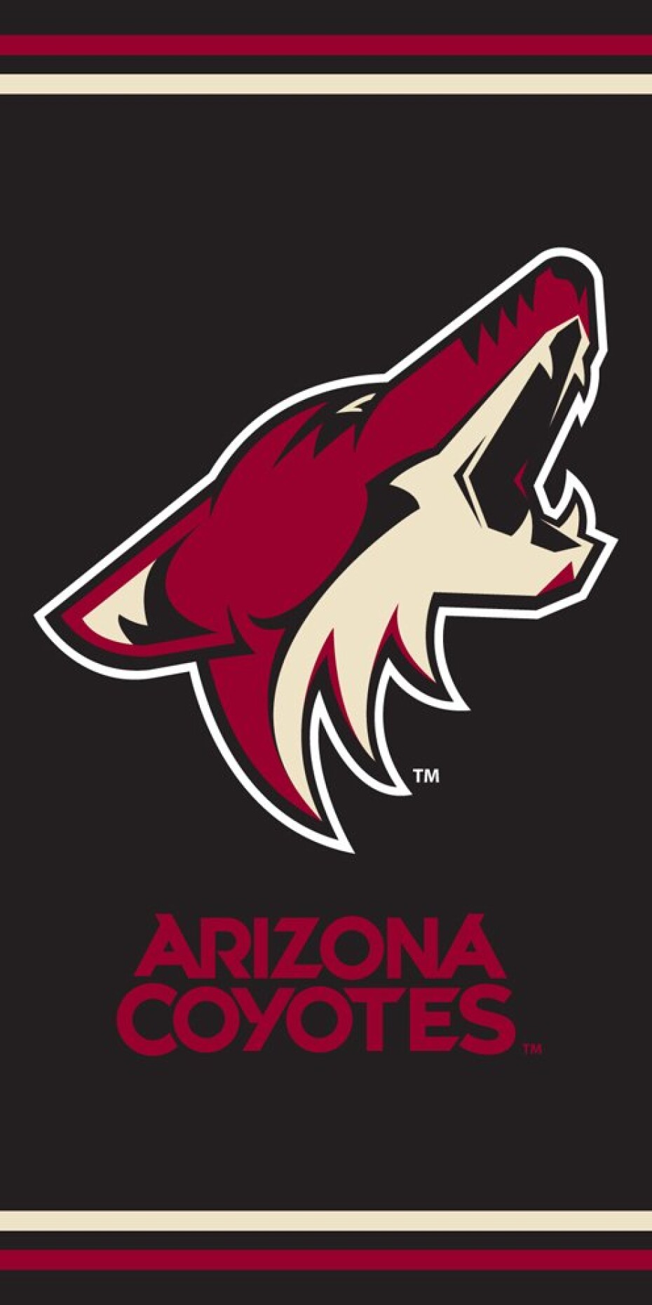 Osuška NHL Arizona Coyotes - main (0)