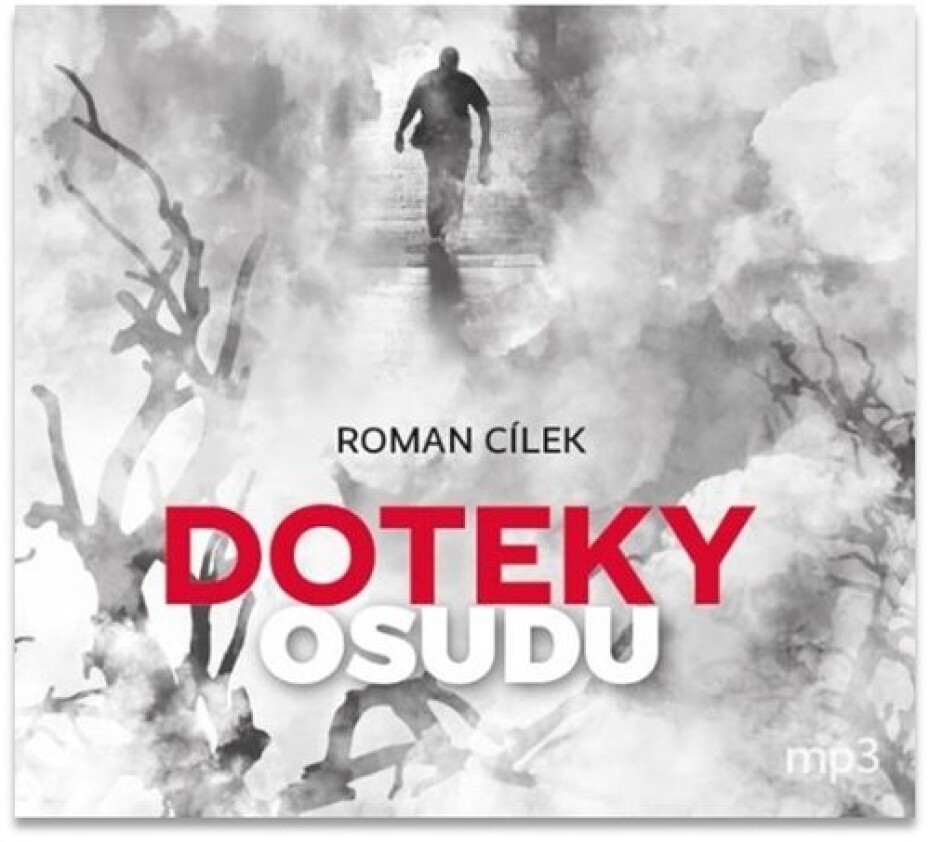 Doteky osudu - CDmp3 - Roman Cílek - main (0)
