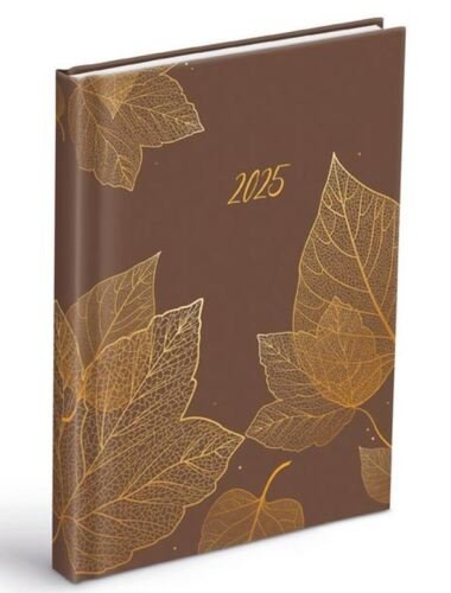 Denní diář 2025 Lamino 5 - main (0)