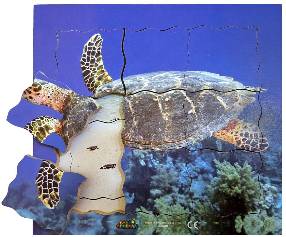Just Jigsaws 605 Želva a její životní cyklus - dřevěné vrstvené puzzle 19 dílů - main (0)